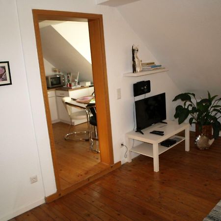 Ferienwohnung Klatschmohn Speyer Bagian luar foto
